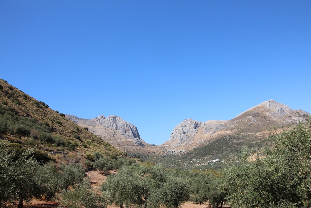 green and black mountains under blue sky at daytime