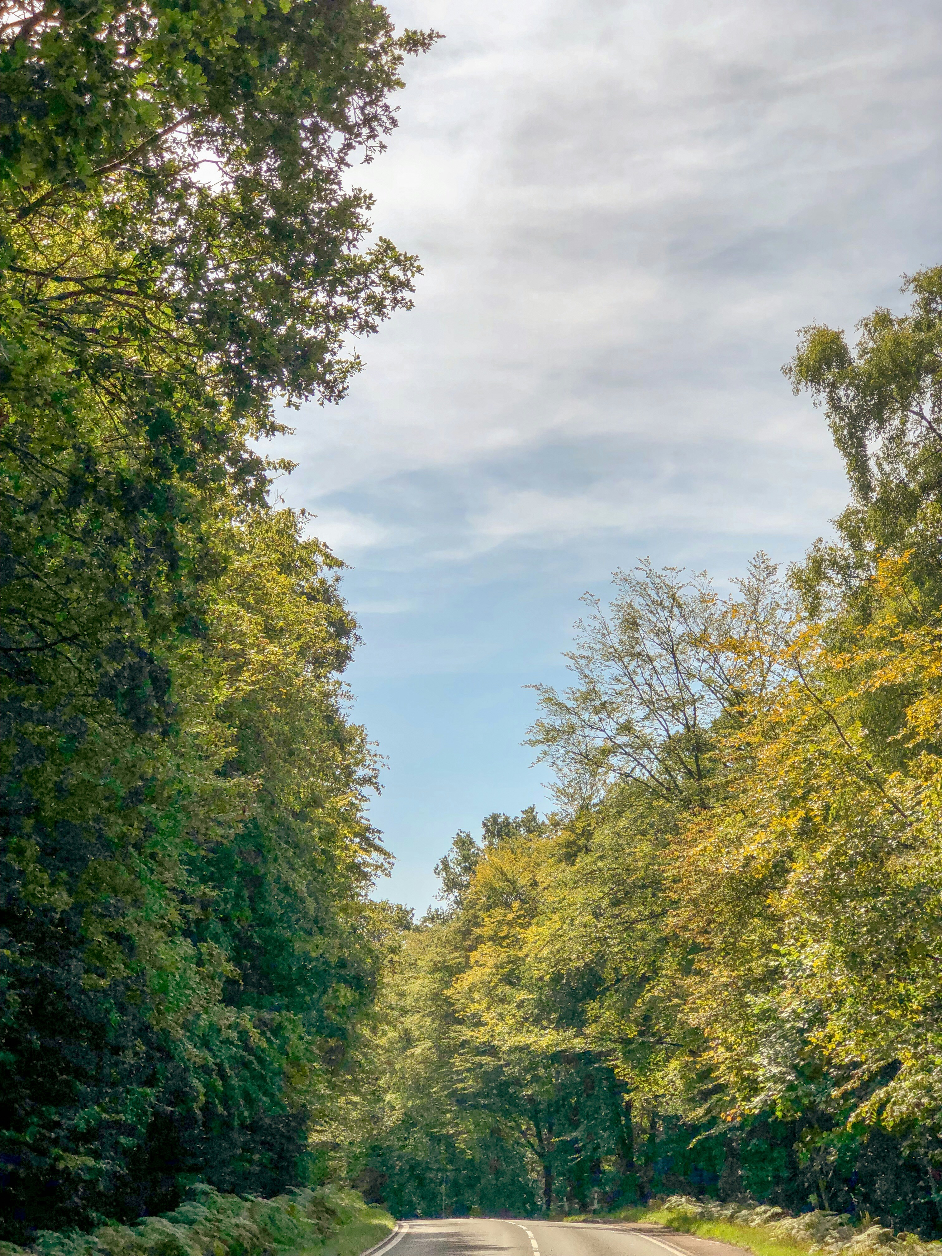 Photo by gabrielkraus