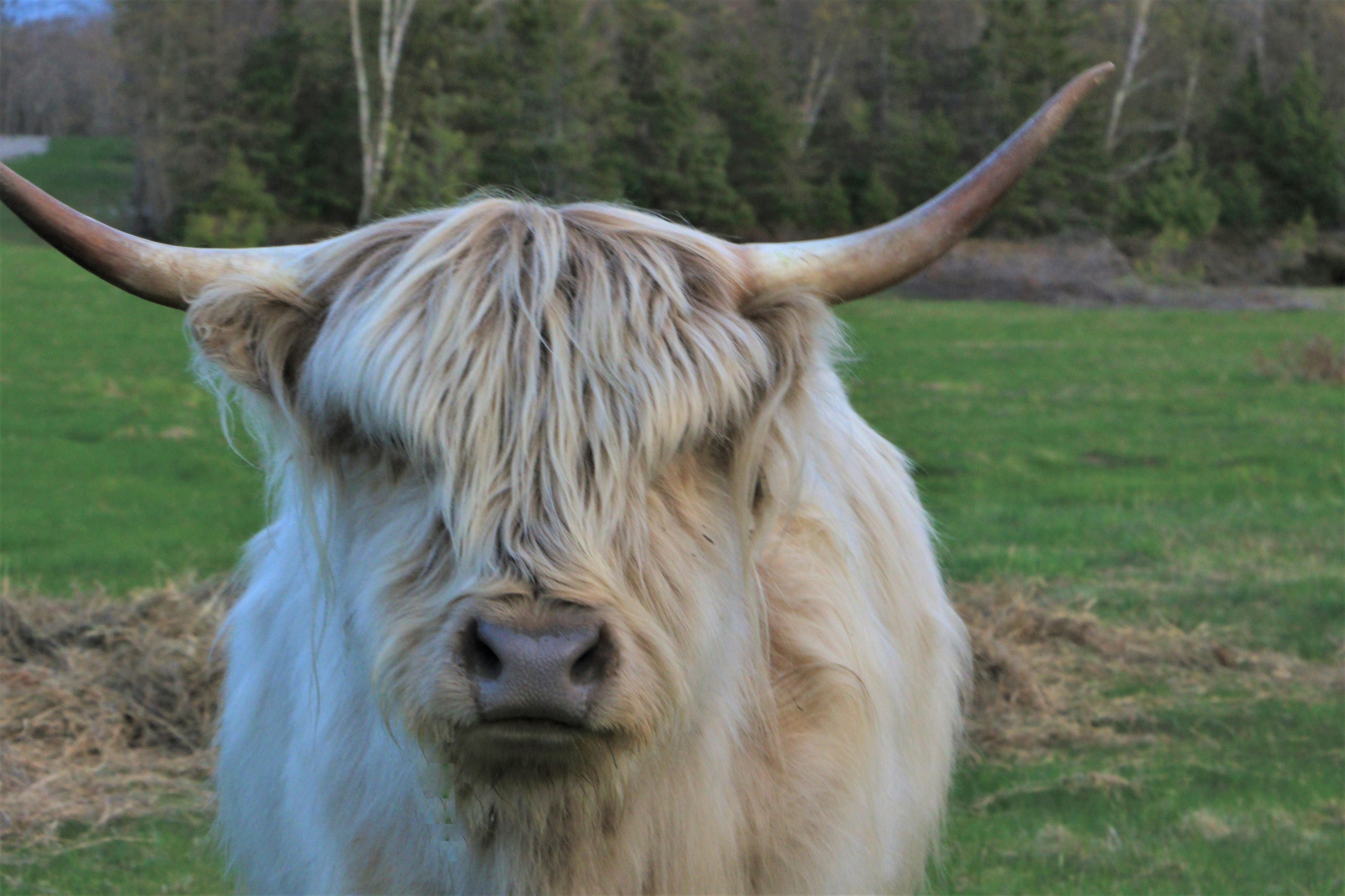 Photo by camerauthor