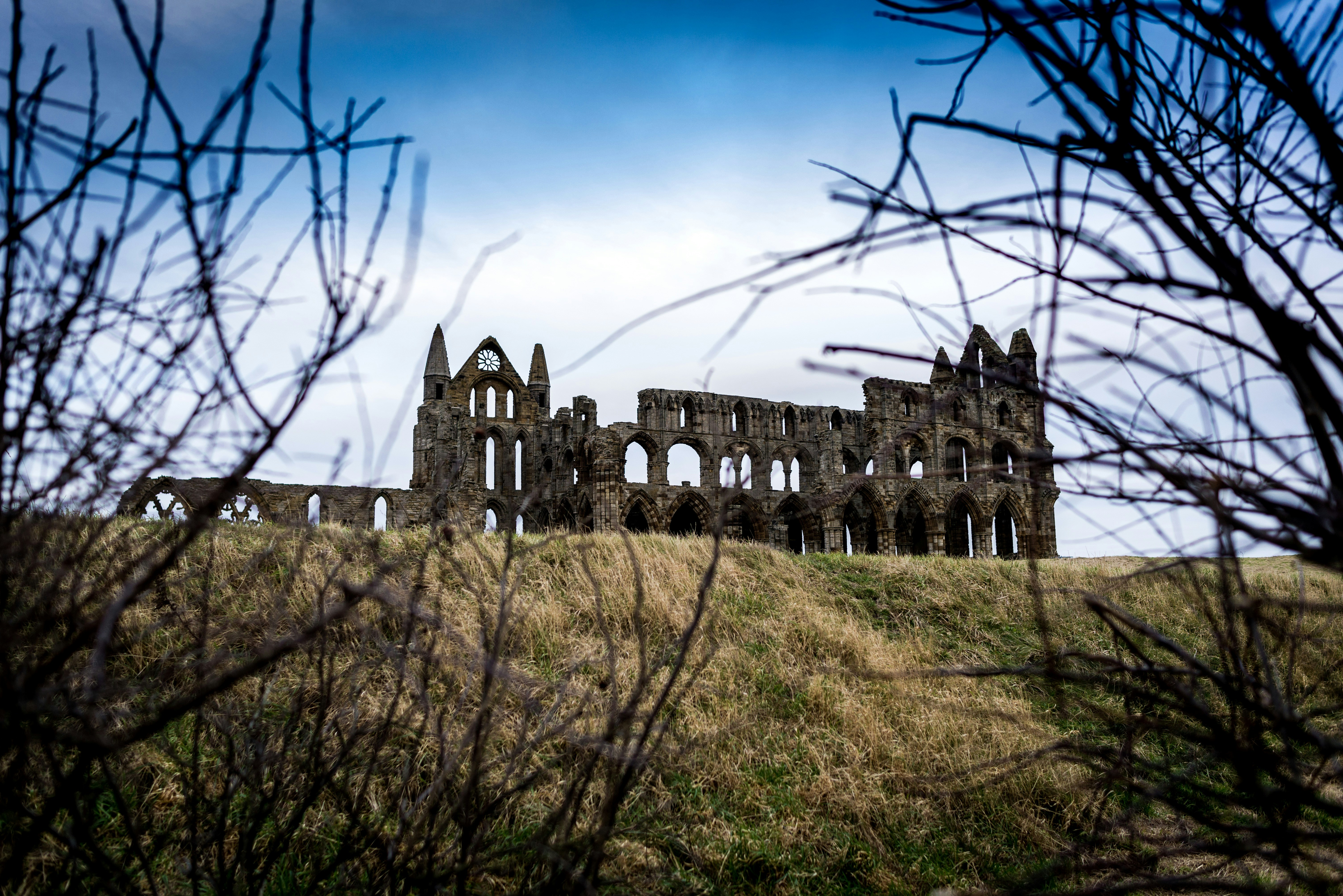 Las ruinas del castillo de Whitley se ven a través de las ramas de un árbol