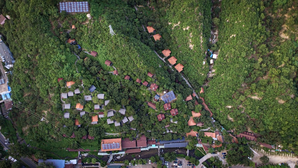 high angle photo of green trees and houses