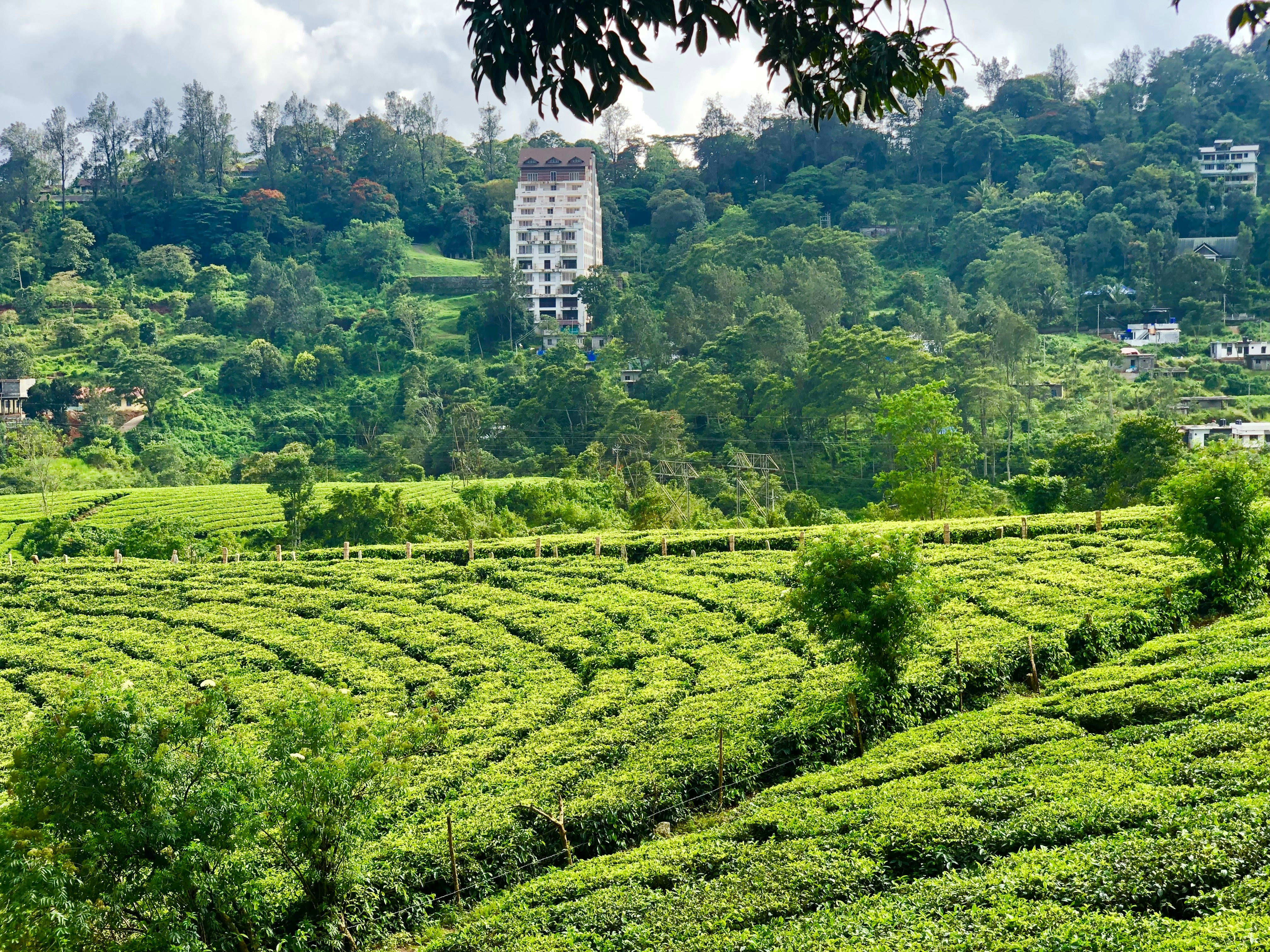 Photo by rohanpaniker