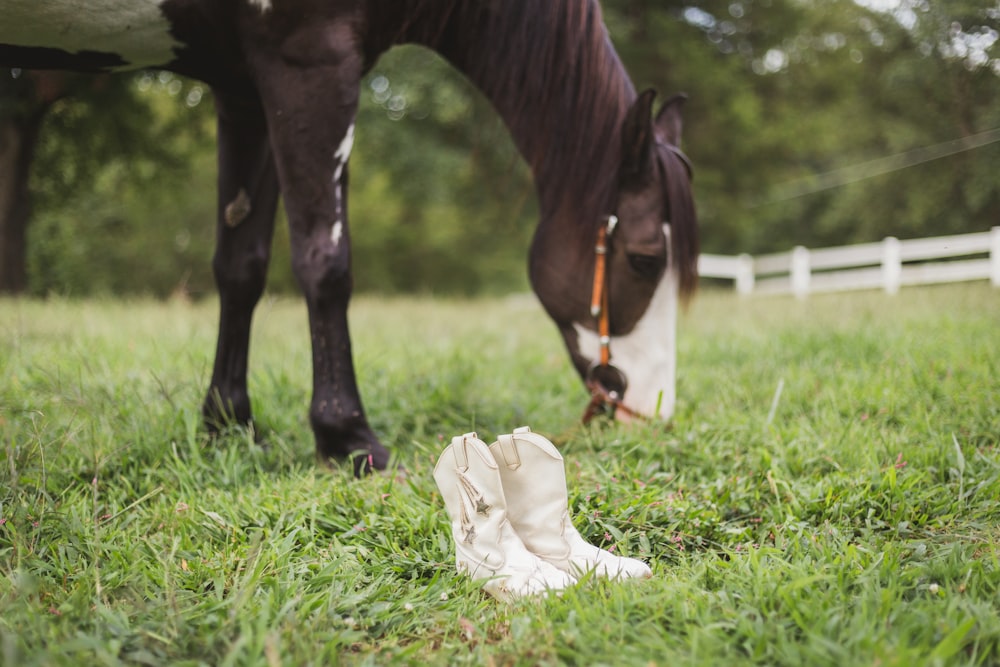 white boots near horse