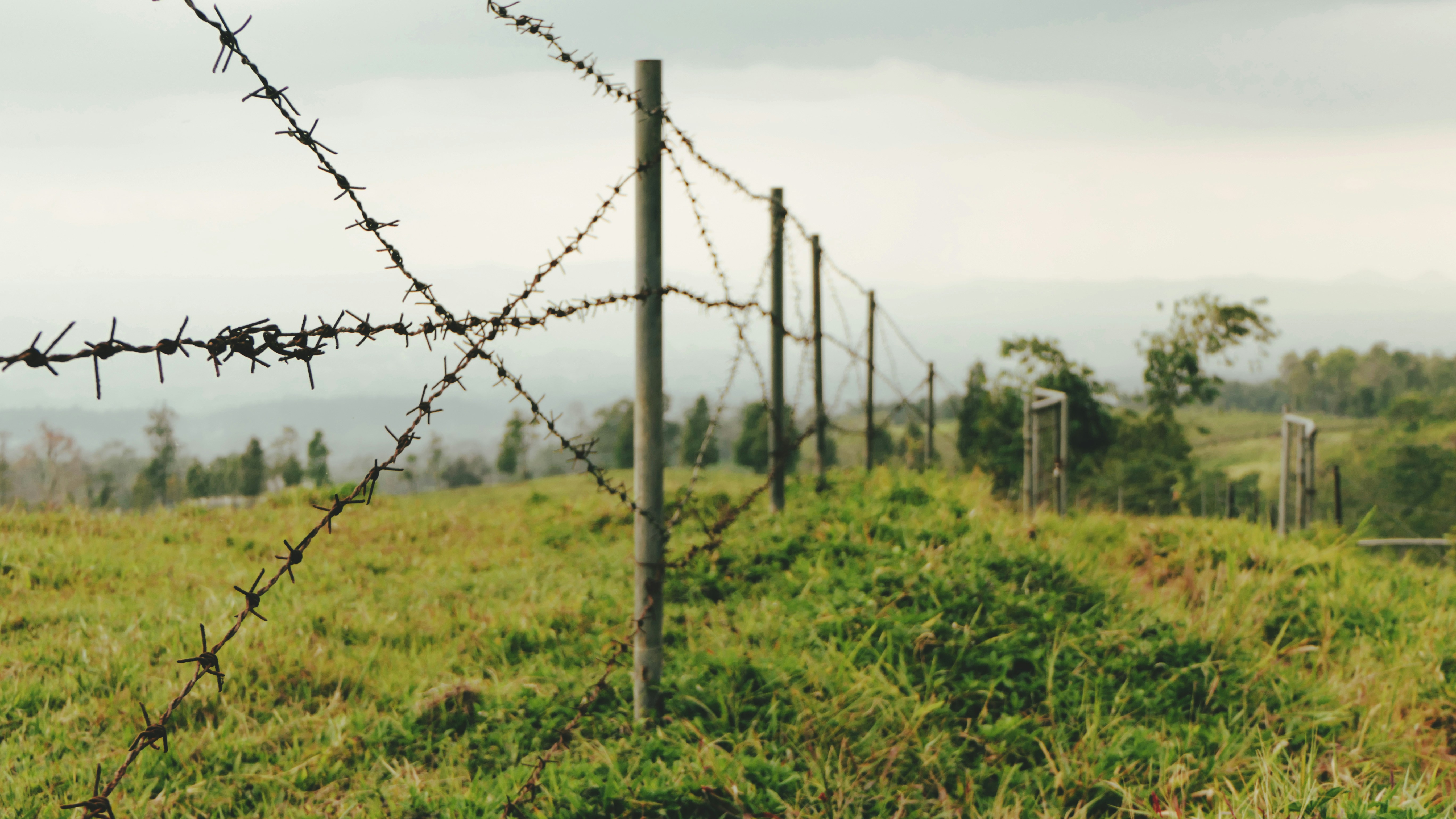 &quot;Limited by Barbed Wires&quot;