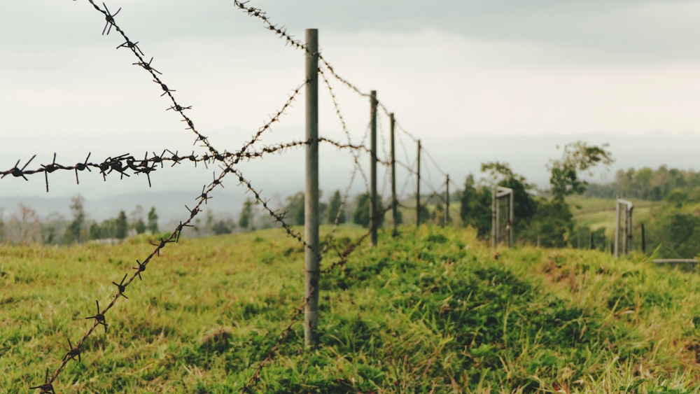 fence on grass field