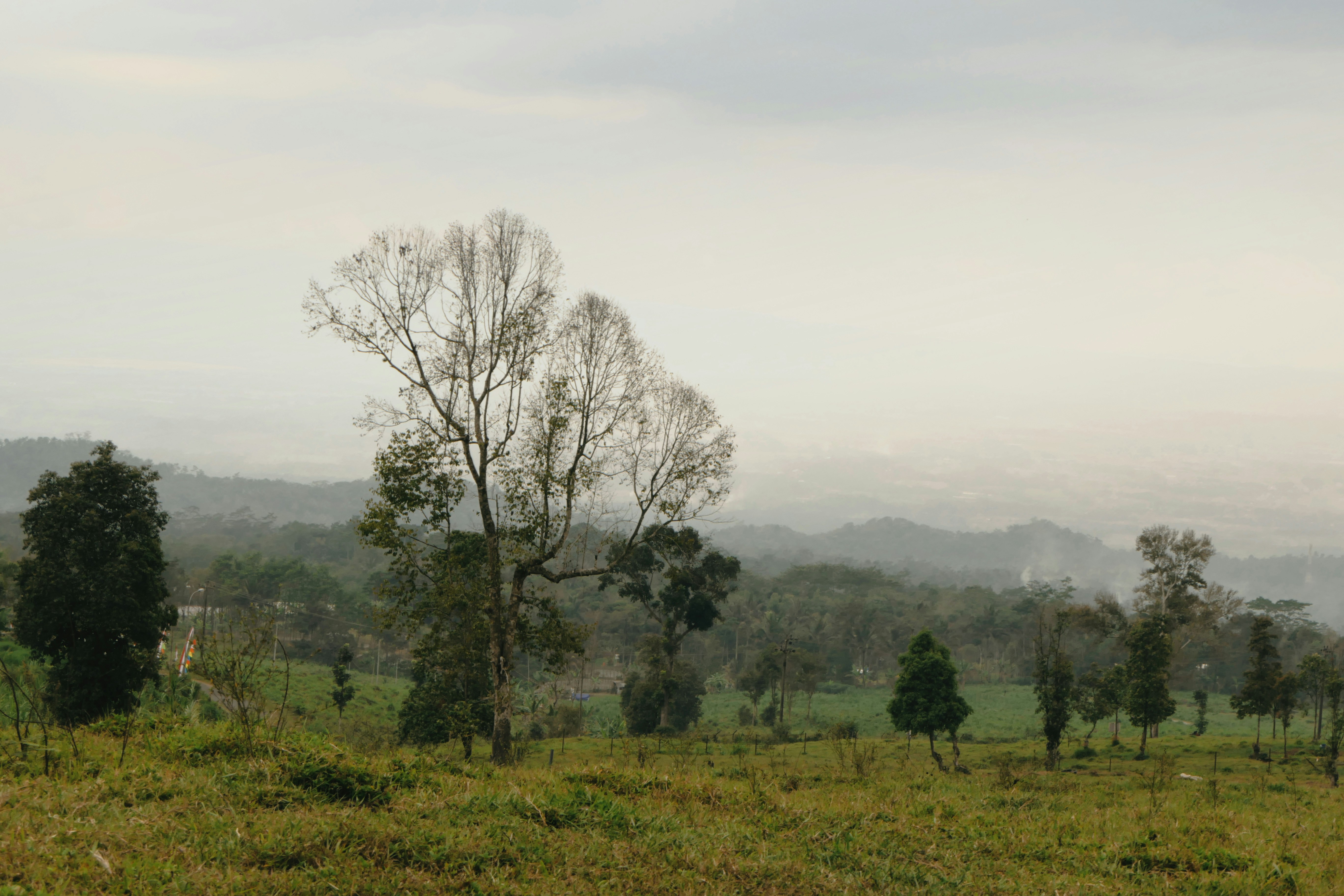 Photo by utsmanmedia