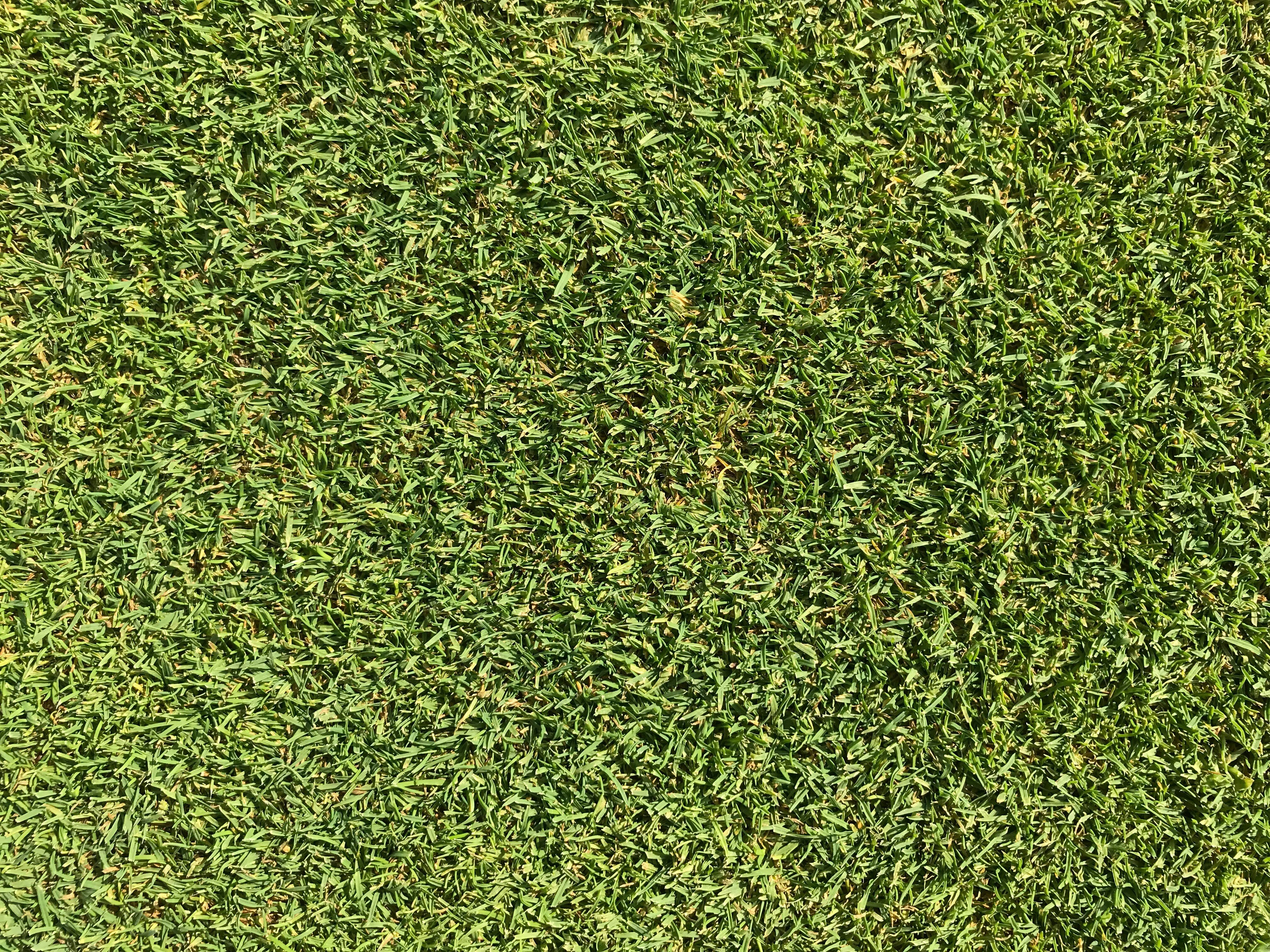 Premium Artificial Turf