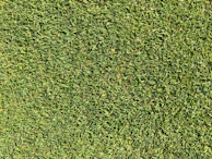 Close-up of Trimly’s cutting blades smoothly gliding over fresh grass.