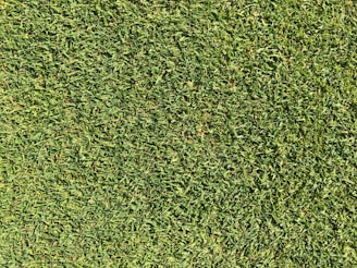 Close-up of a sharp mower blade gliding through thick green grass.