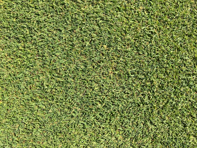 Close-up of tall grass being precisely cut with professional equipment in a neglected plot.