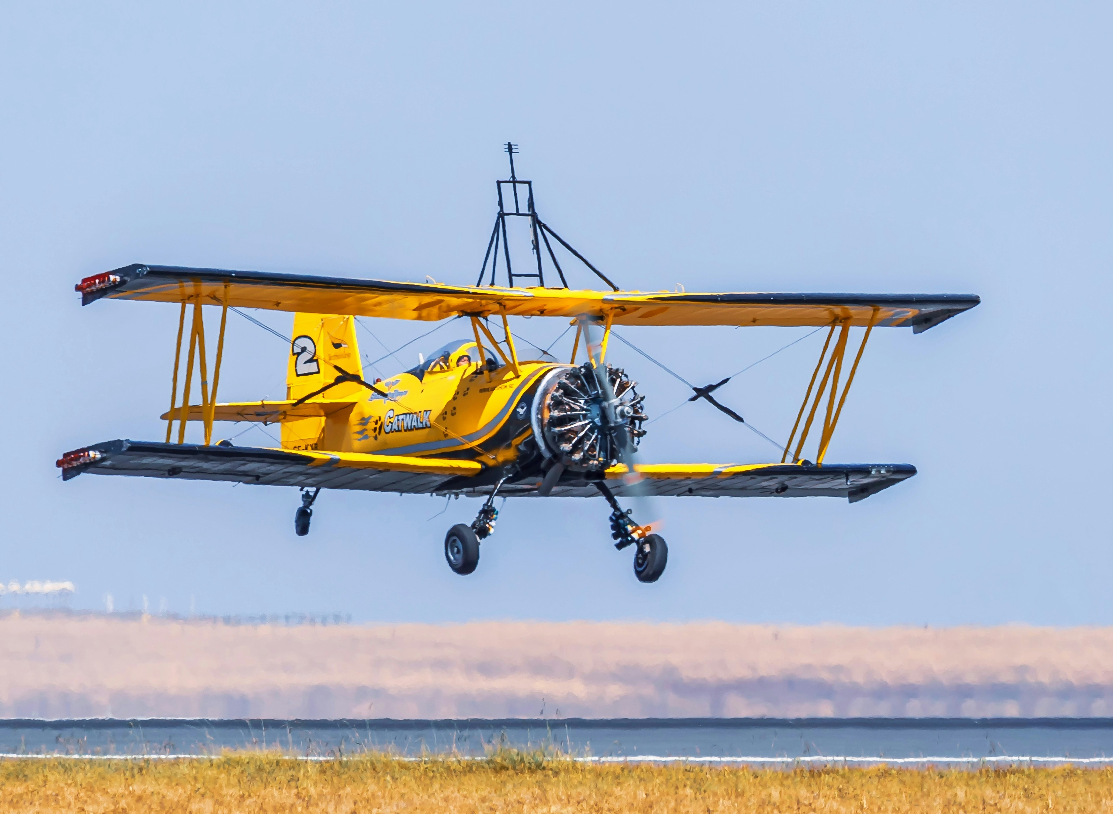 yellow and black biplane, Grumman G-164 Ag-Cat