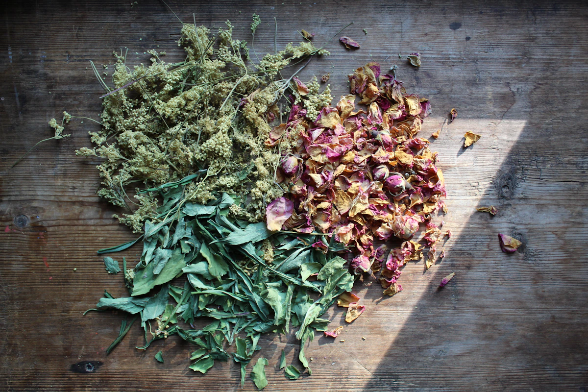 Three adaptogens. Three different mechanisms. One coordinated effect on the substrate.