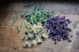 Close-up of dried lavender and chamomile flowers arranged on a rustic wooden table.