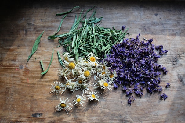 Close-up of natural herbs and flowers arranged on a wooden surface.