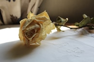 Artistic shot of vivarose’s floral pieces displayed on rustic wooden surface with natural light.