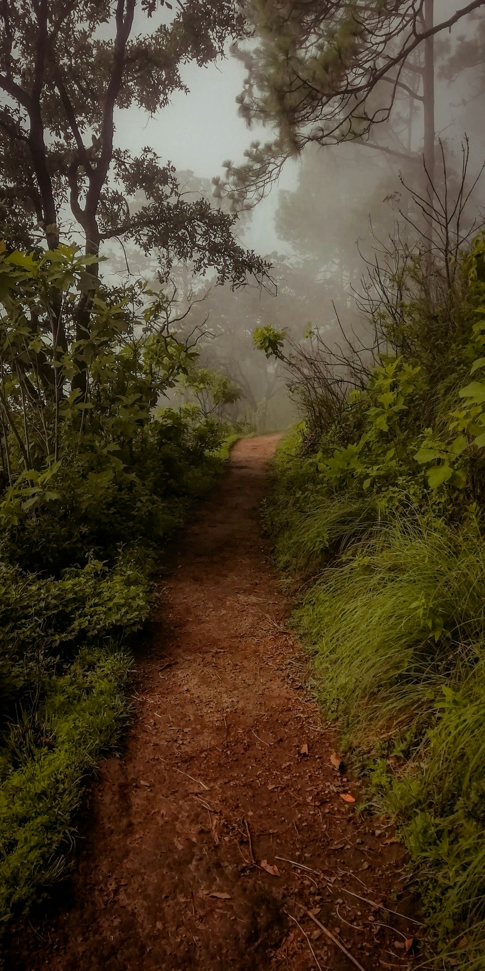 empty pathway