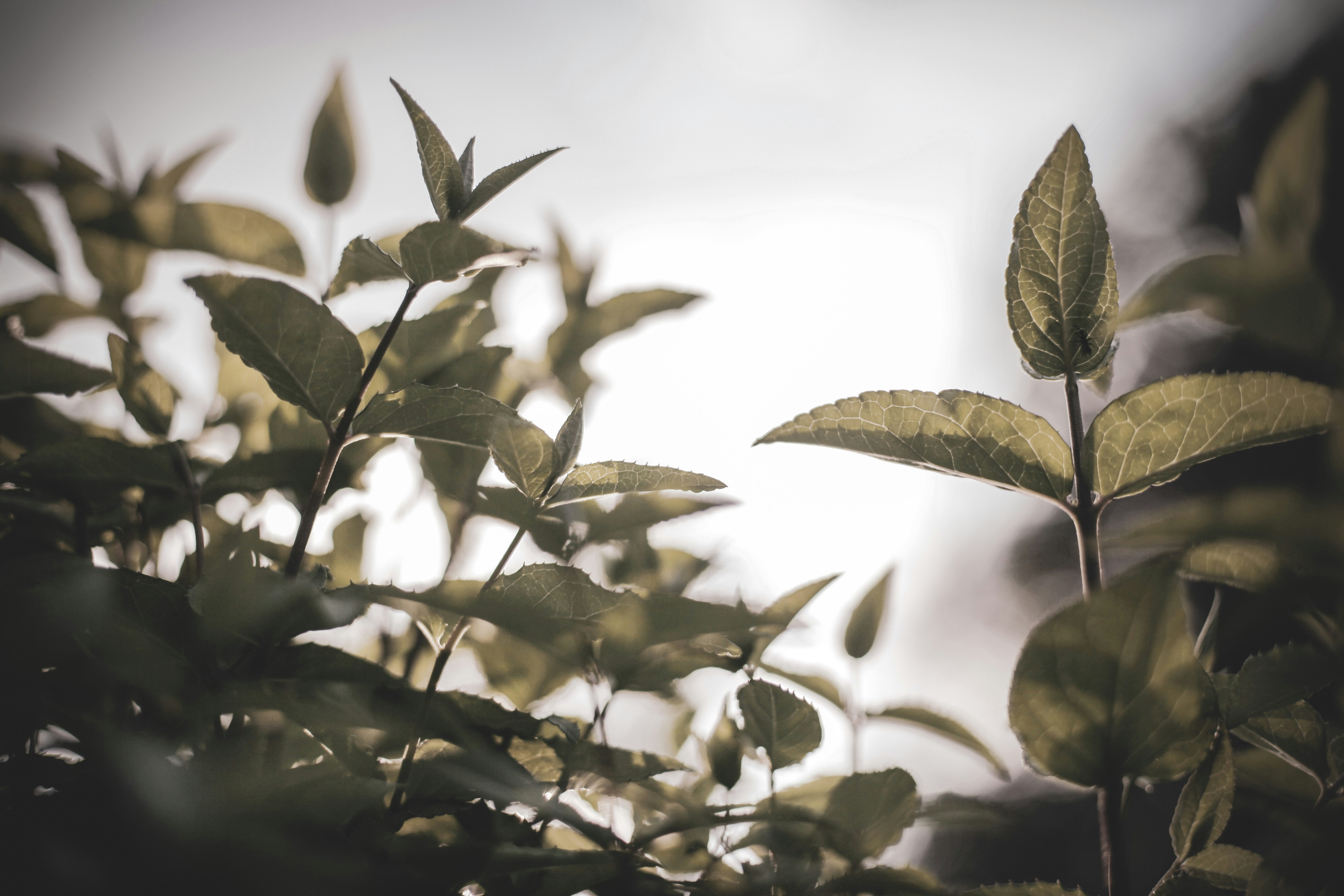 Photo by quadratmedia