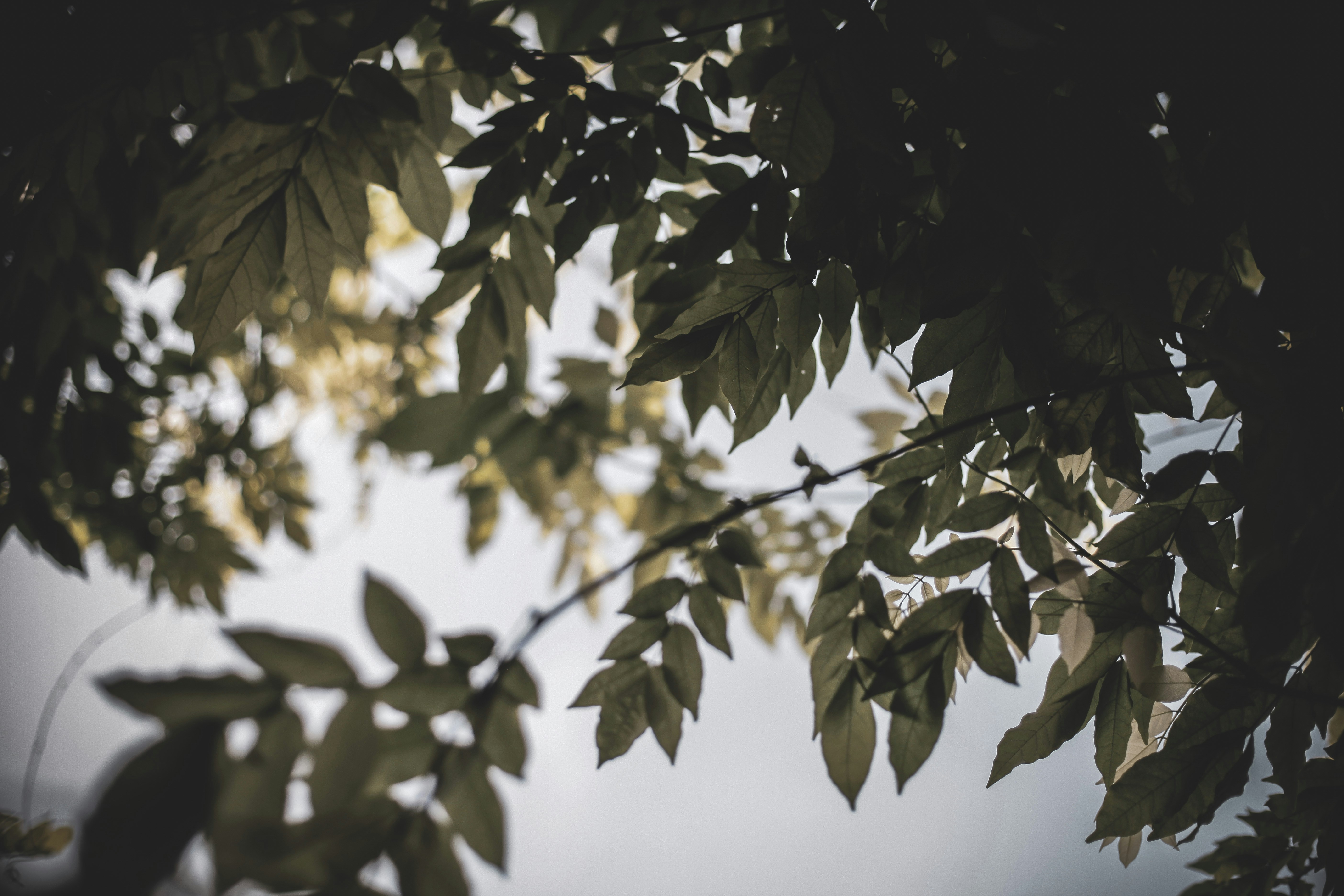 Photo by quadratmedia