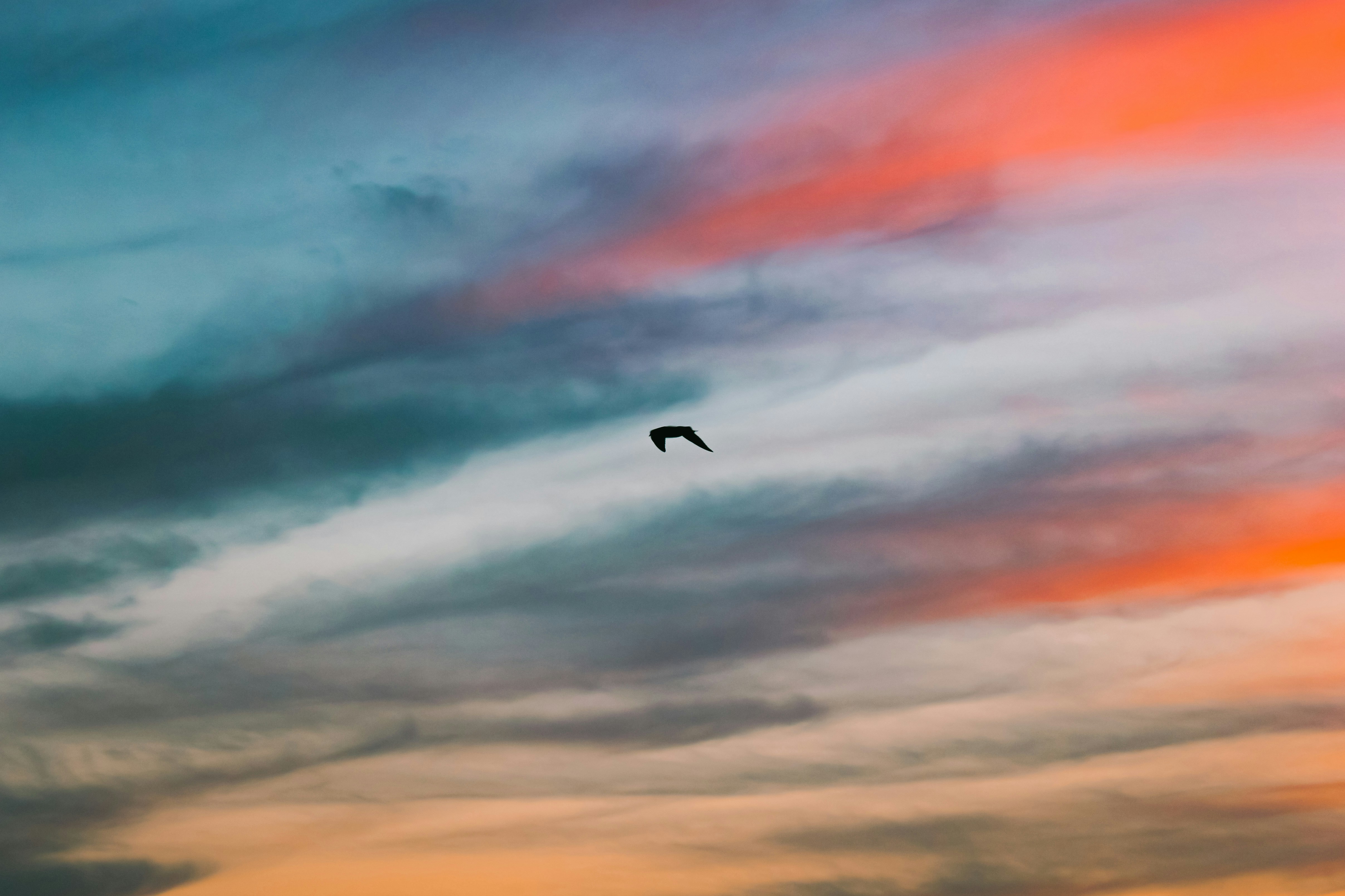 Photo by danrobertwood