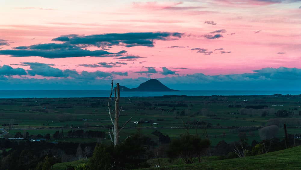 a view of a field with a mountain in the distance