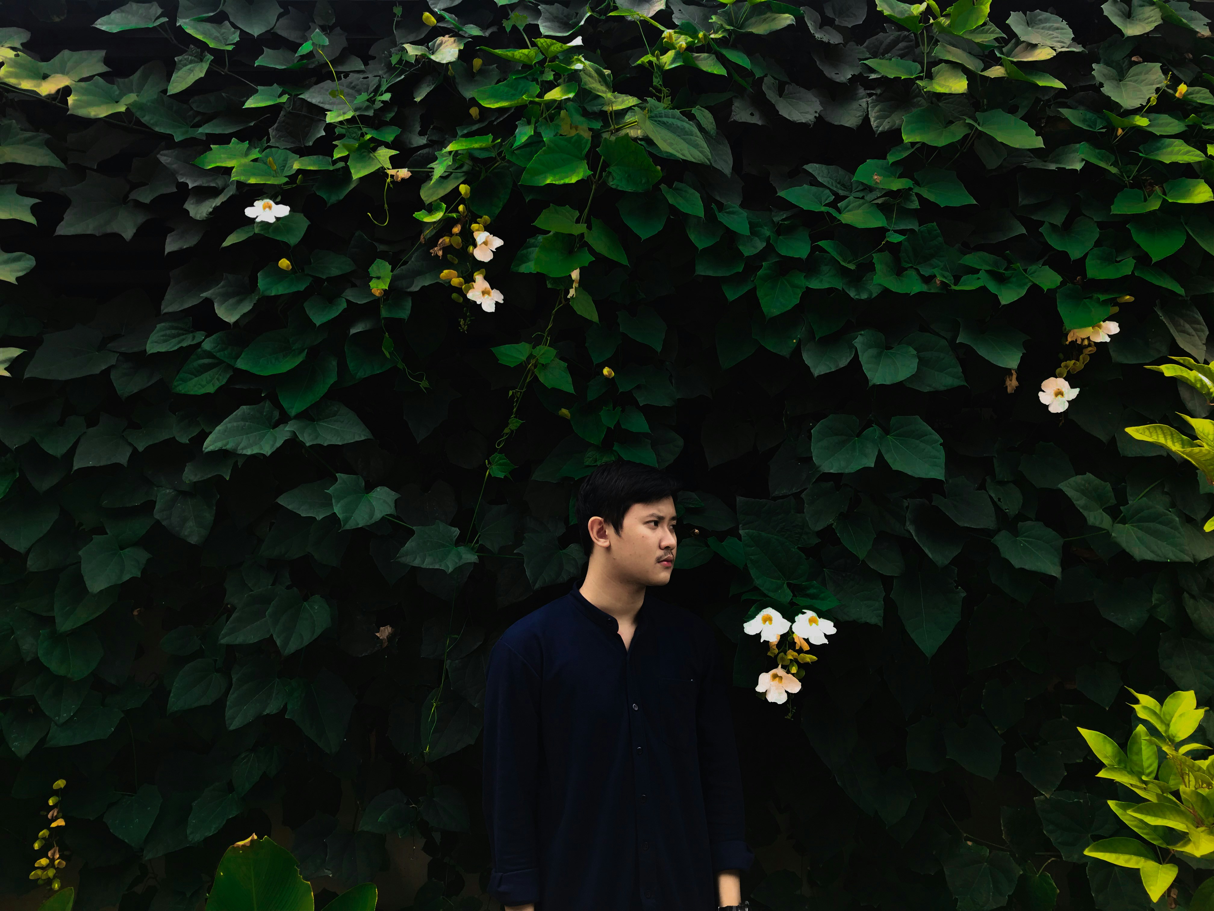 Photo by dwikimaska_