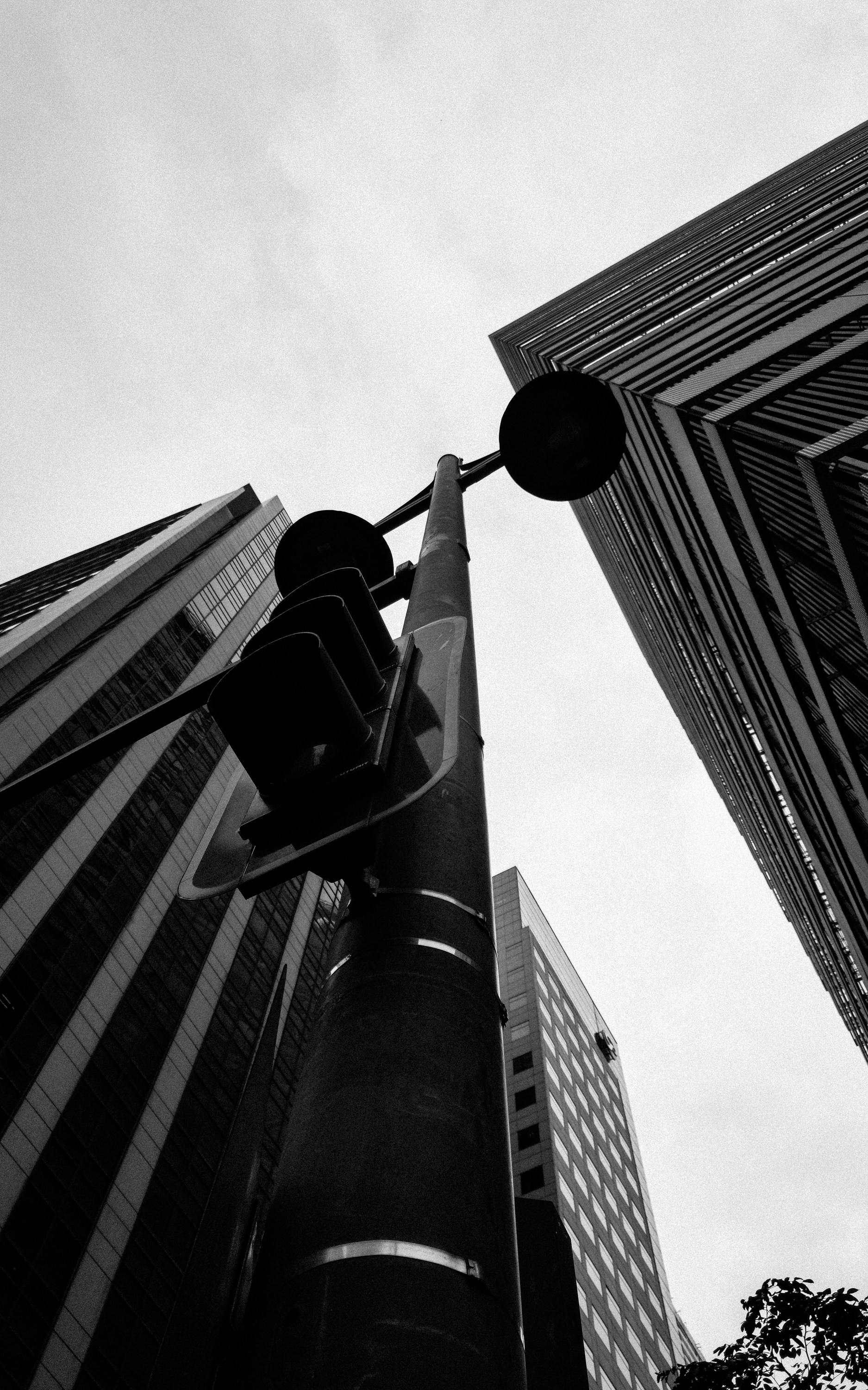 Photo by albiepatacsil