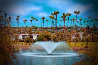 A community park surrounded by eco-friendly homes in Fort Lauderdale.