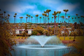 A park with a central water fountain surrounded by lush greenery and tall palm trees. In the background, there are suburban houses set against a slightly overcast sky.