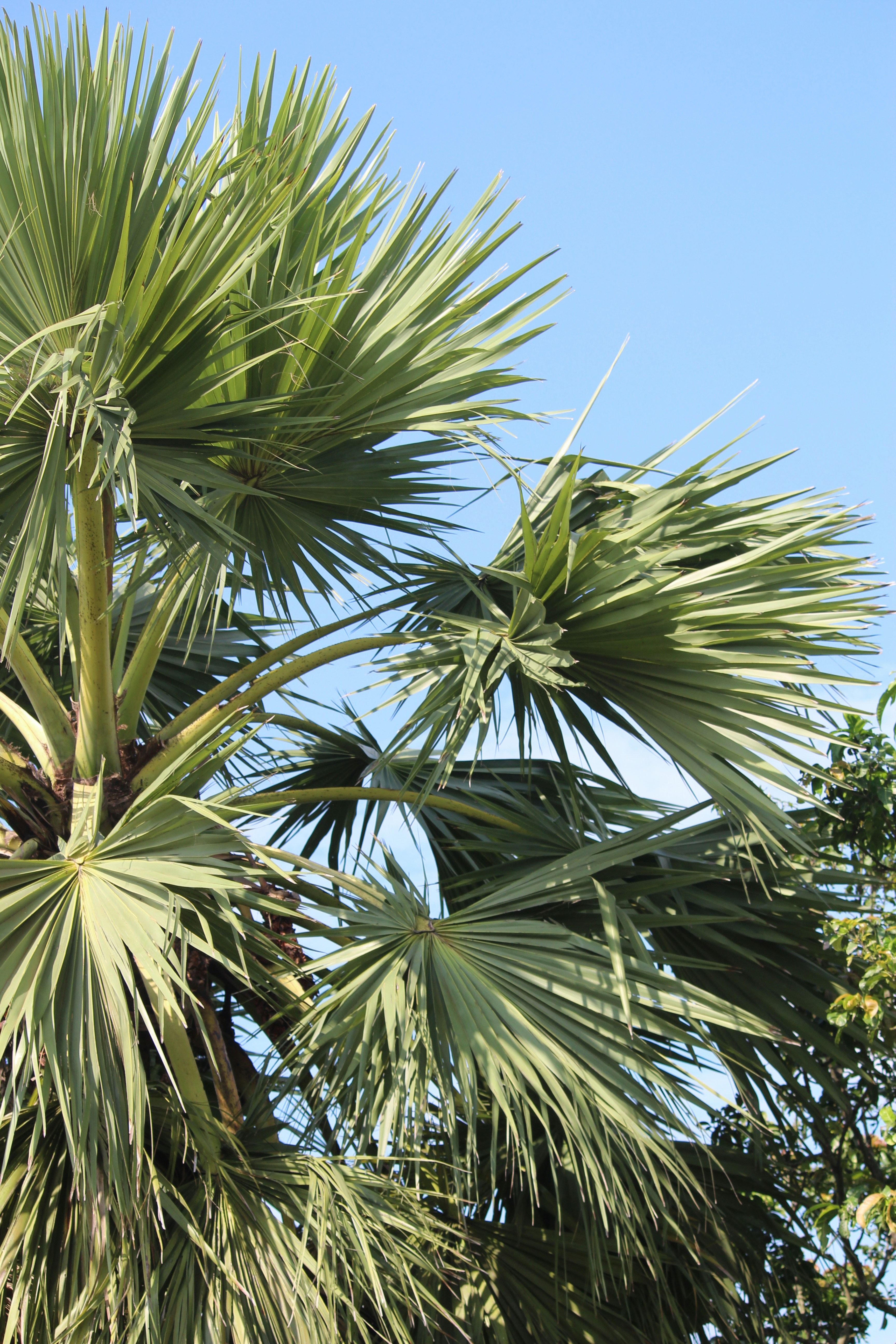 Photo by jakiahamed123