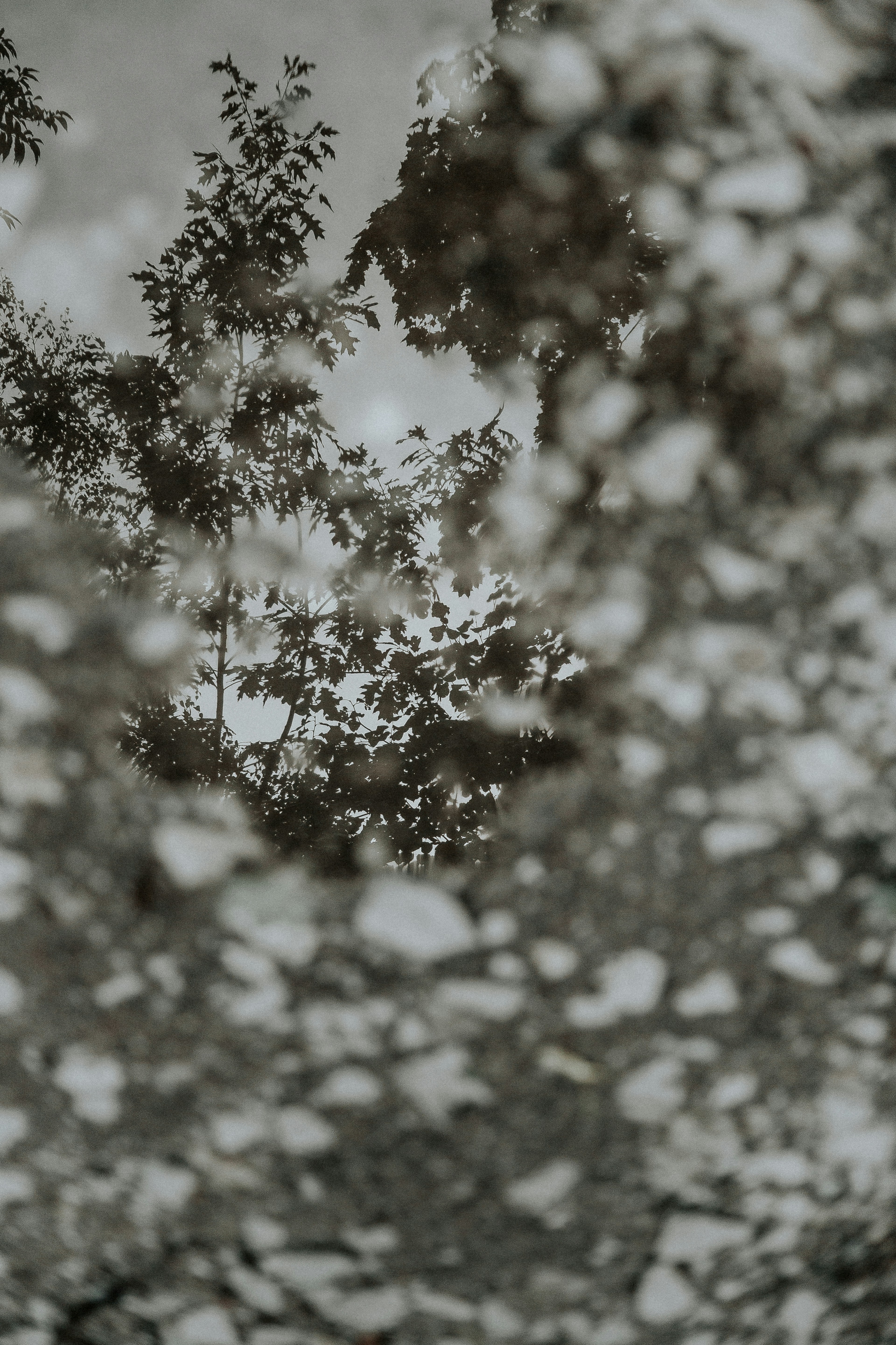 Photo by marjan_blan