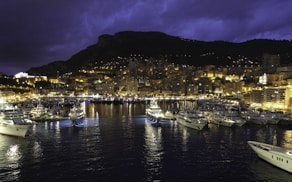 monaco property for sale