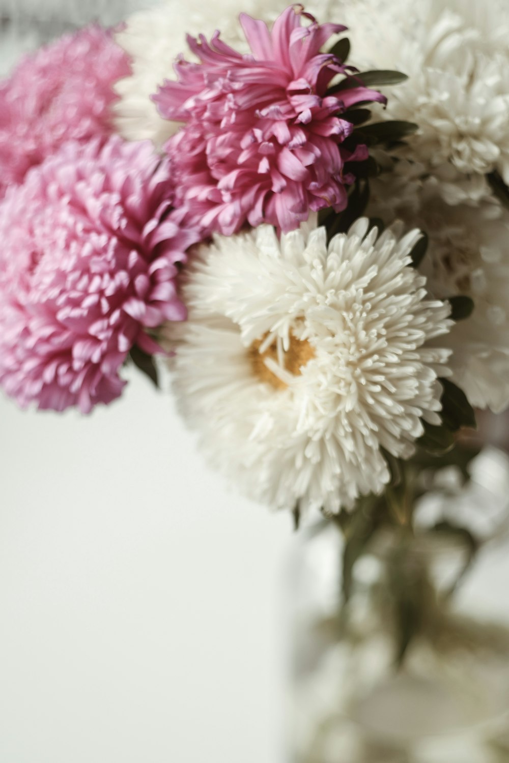 흰색과 분홍색 꽃잎이 있는 꽃 중앙 장식품의 선택적 초점 사진