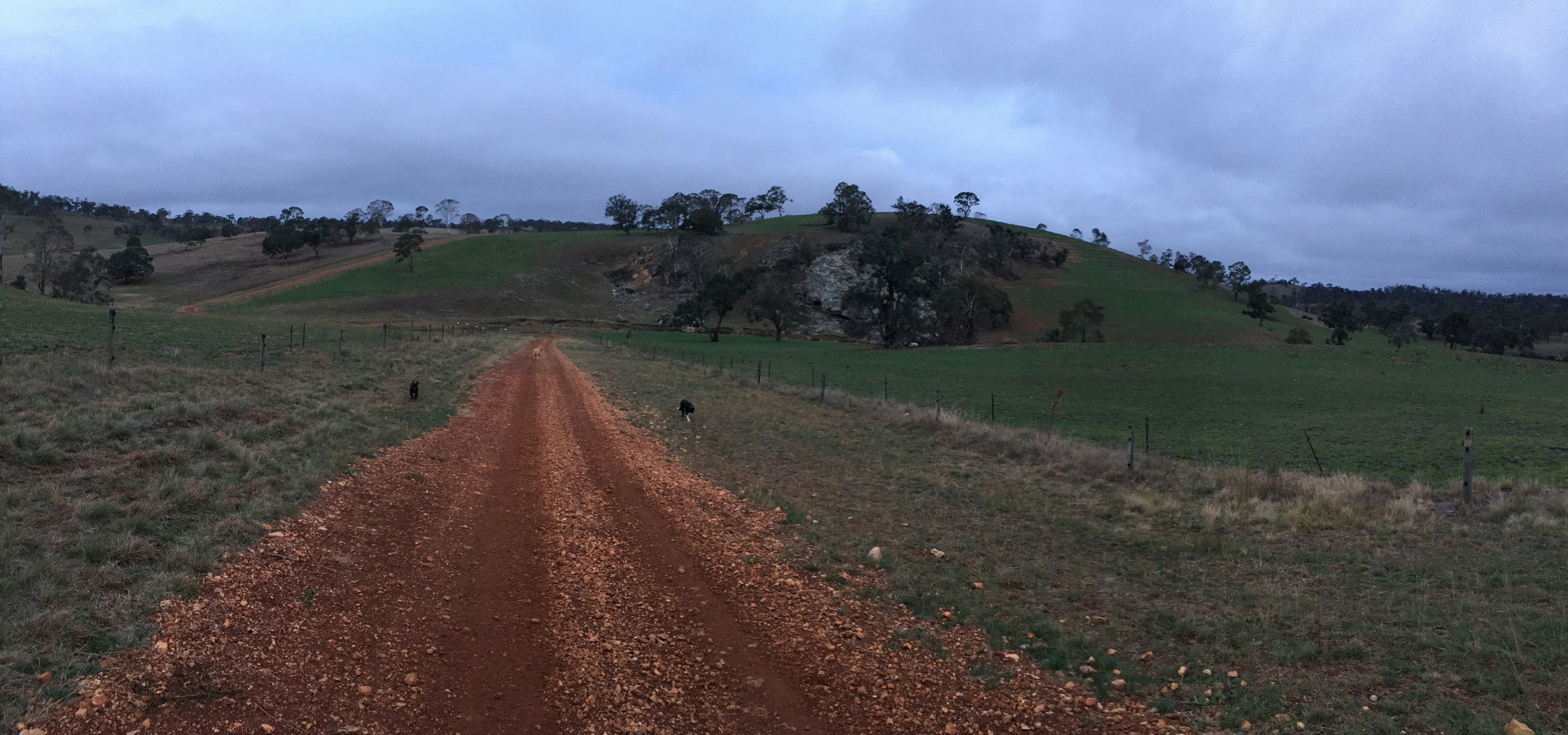 Walcha, New South Wales