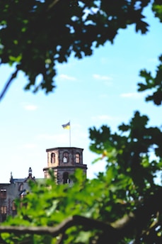 An old historic building surrounded by greenery, symbolizing local heritage.