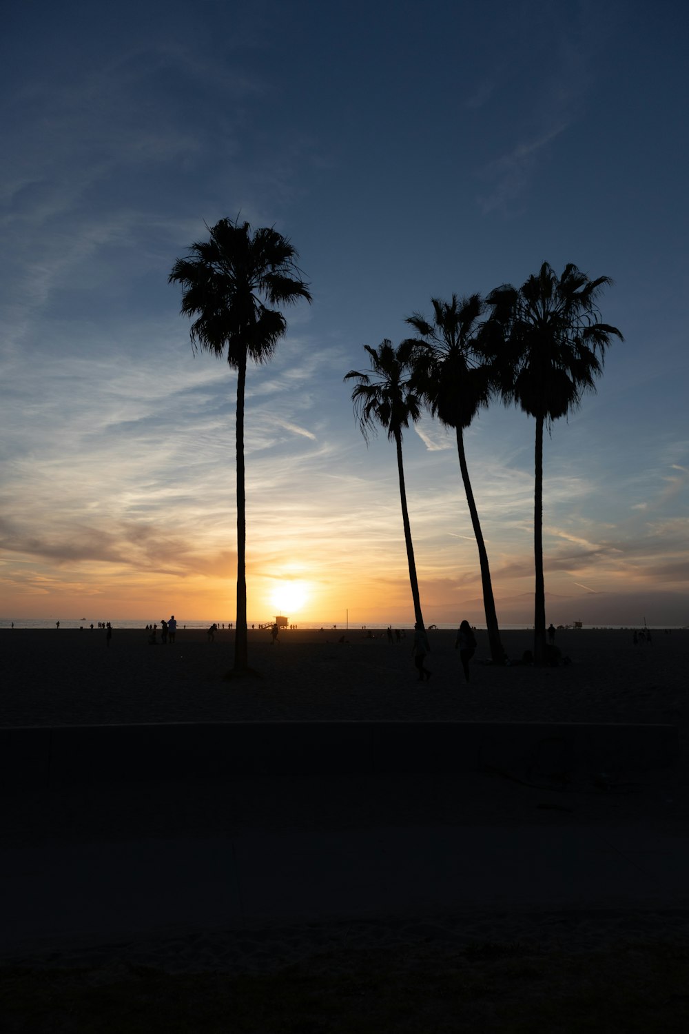 silhouette of coconut trees at sunset