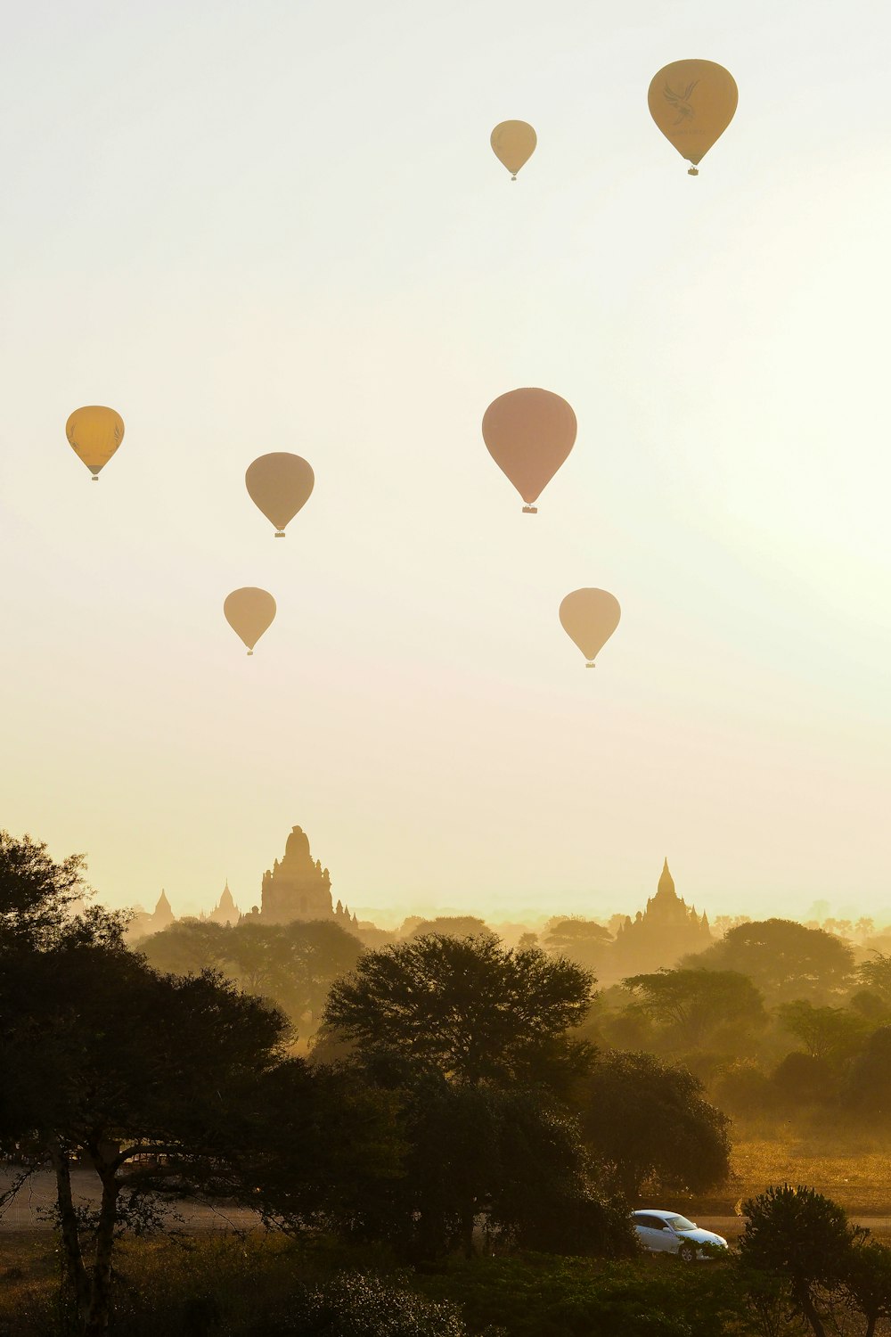 pink hot air balloons