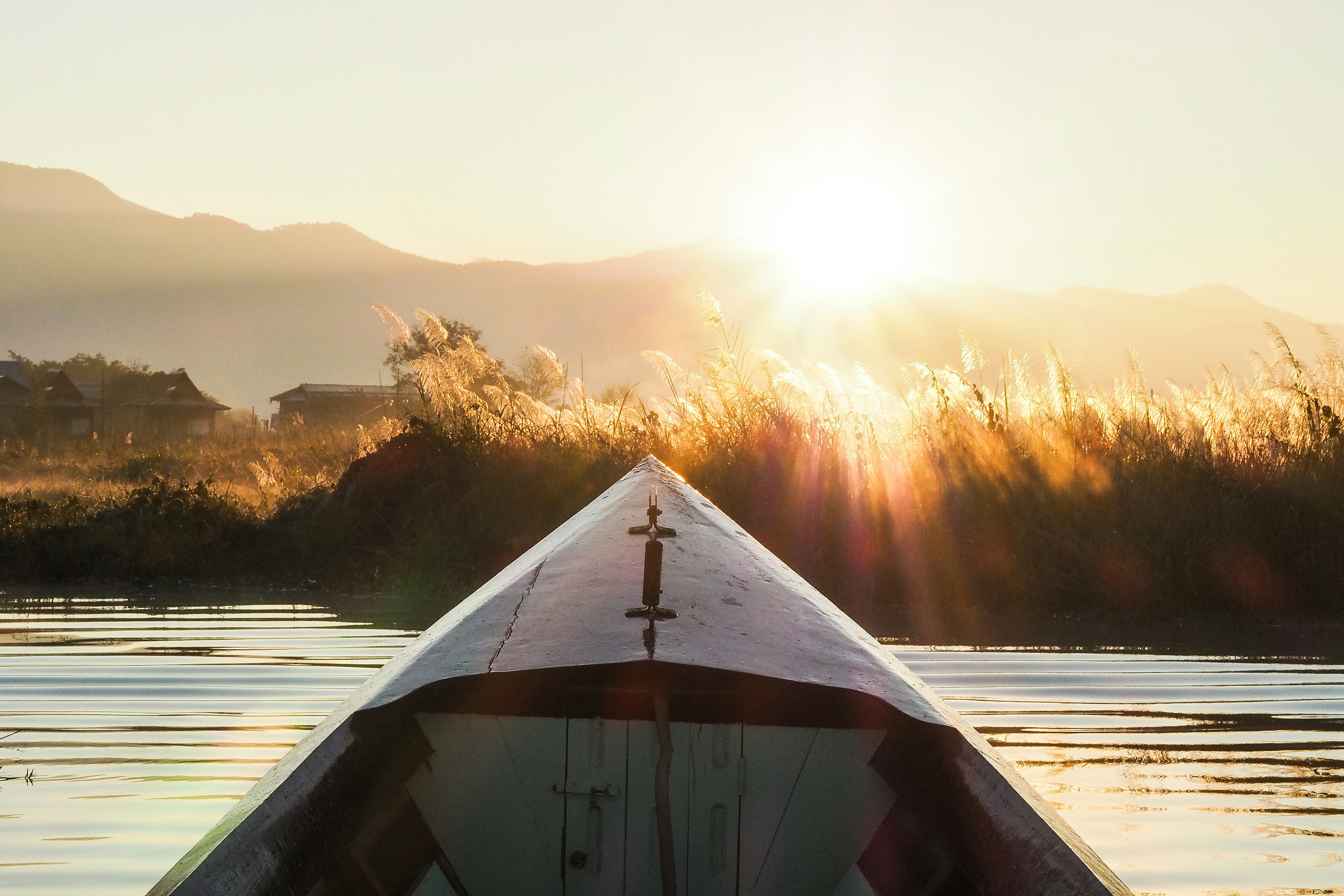 boat on body of water near grass during day, 