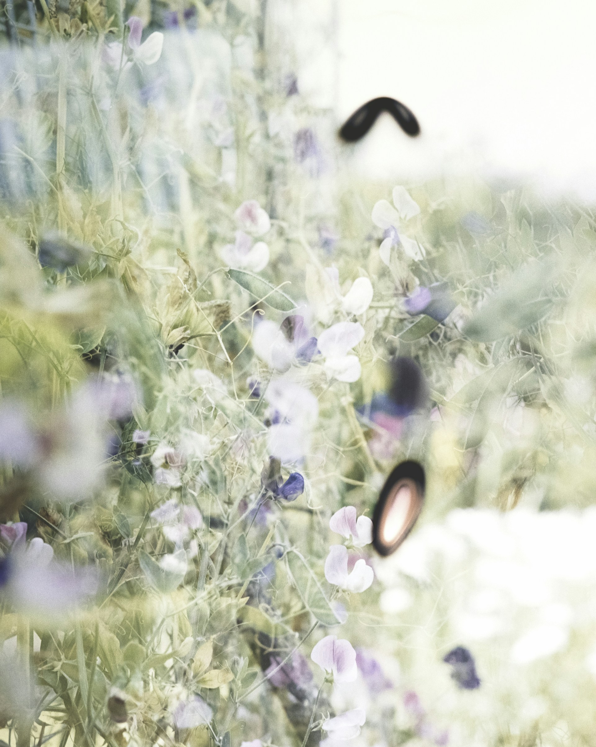 An intimate scene featuring a pair of awkward, tender beings sharing a quiet moment on a textured, dreamlike landscape filled with soft pastel hues.