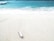 A white tube of sunscreen lies on a sandy beach near the shore, with gently crashing waves and turquoise water in the background.