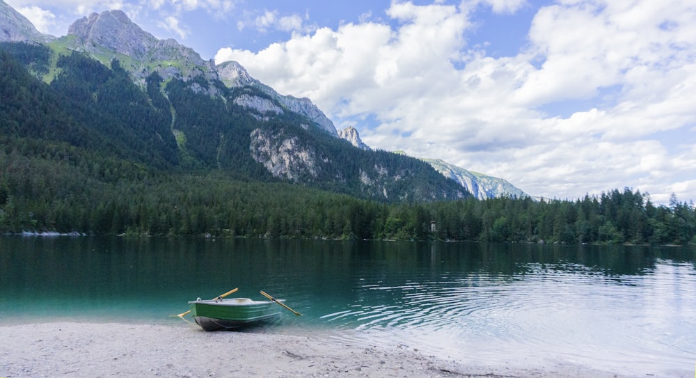 rowboat on shore during day