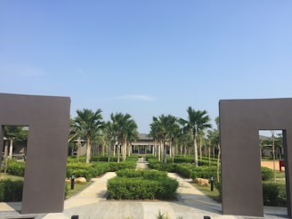 grass field