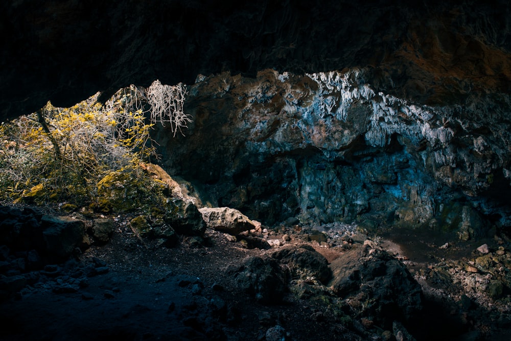 sunlight passing in cave