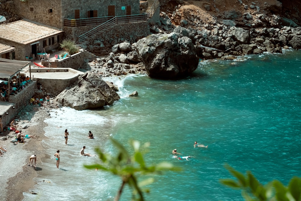 shallow focus photo of people in body of water during daytime