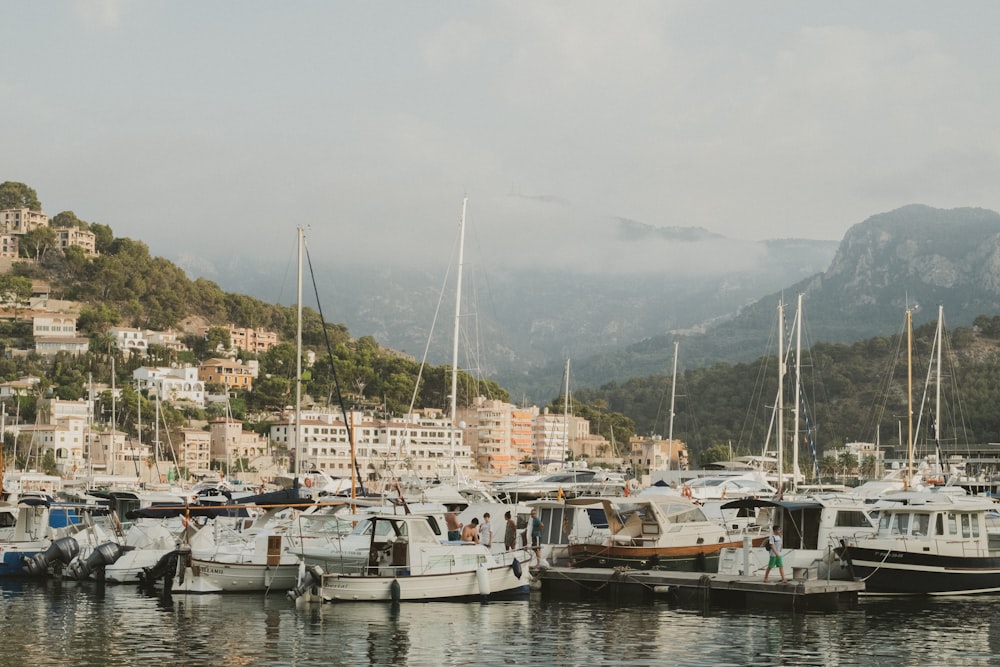 white boats on harbour during daytime