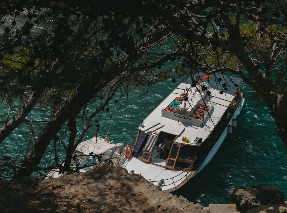 white and black yacht on body of water