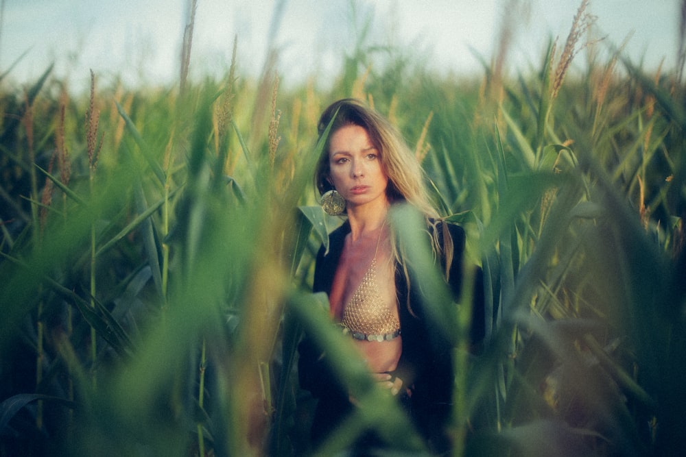 femme debout sur le champ de maïs à la journée