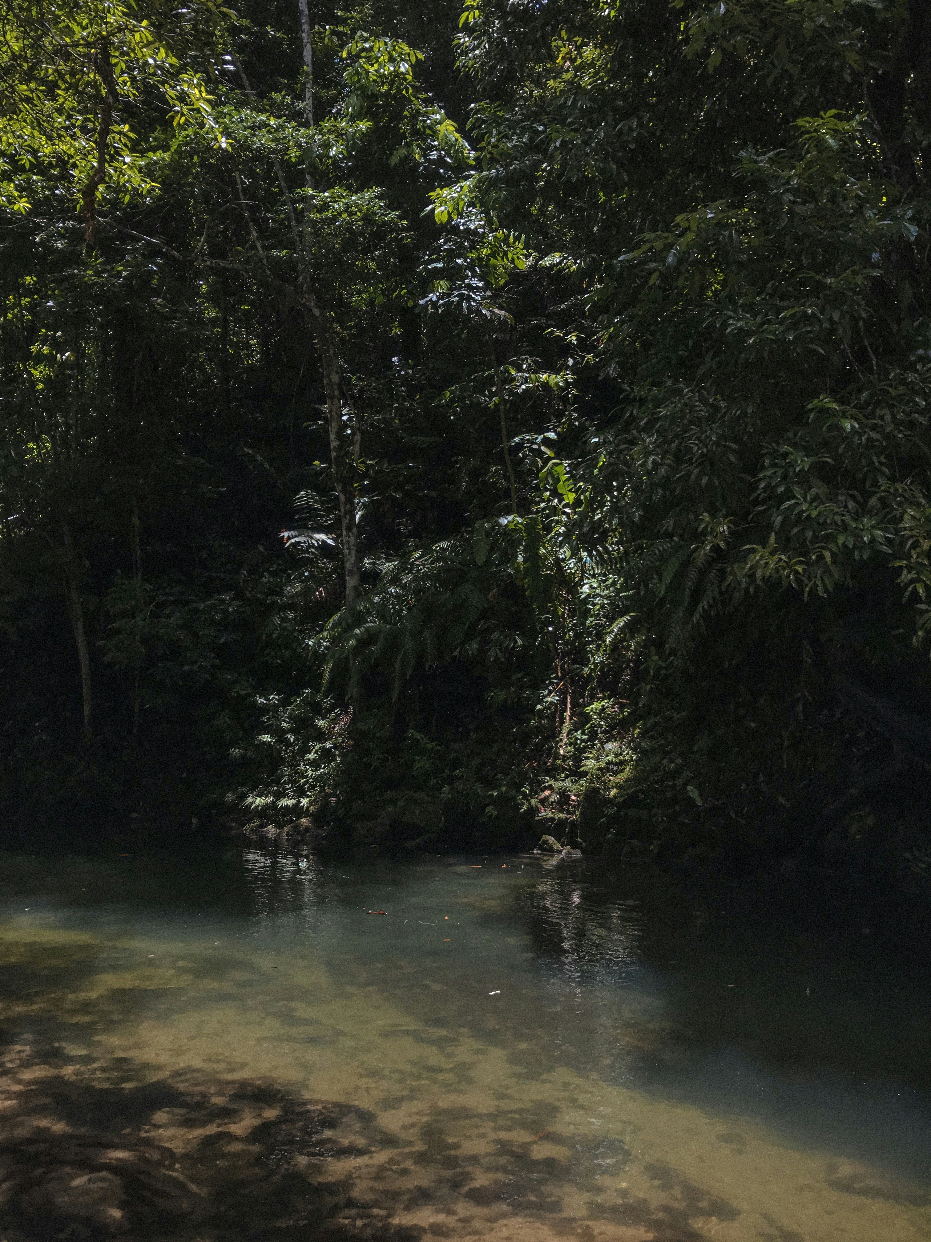 Photo by visualsbysaf