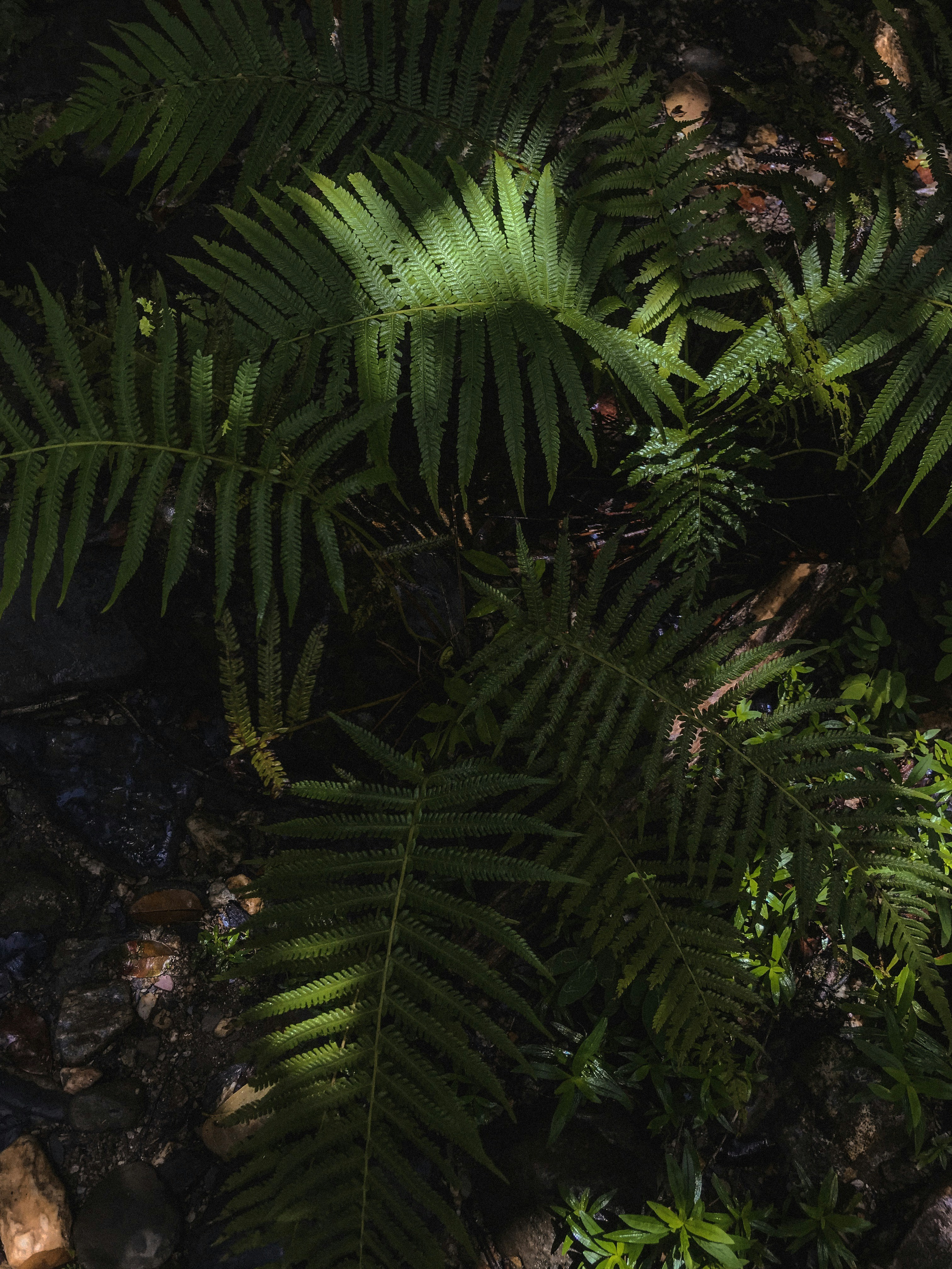 Photo by visualsbysaf