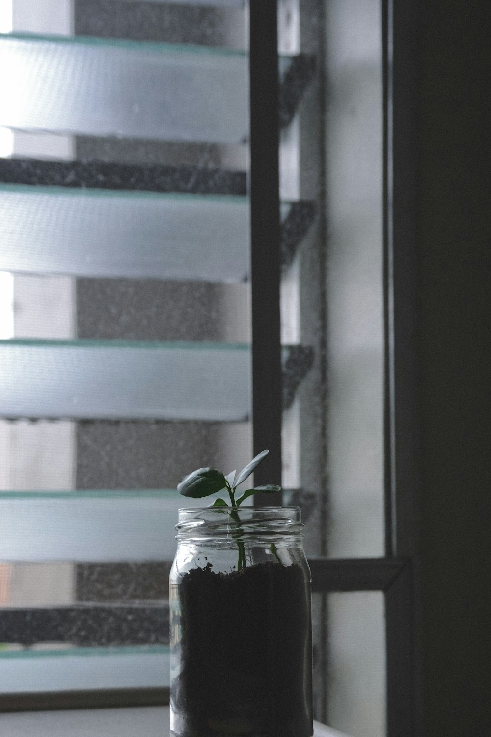 pot in jar on window