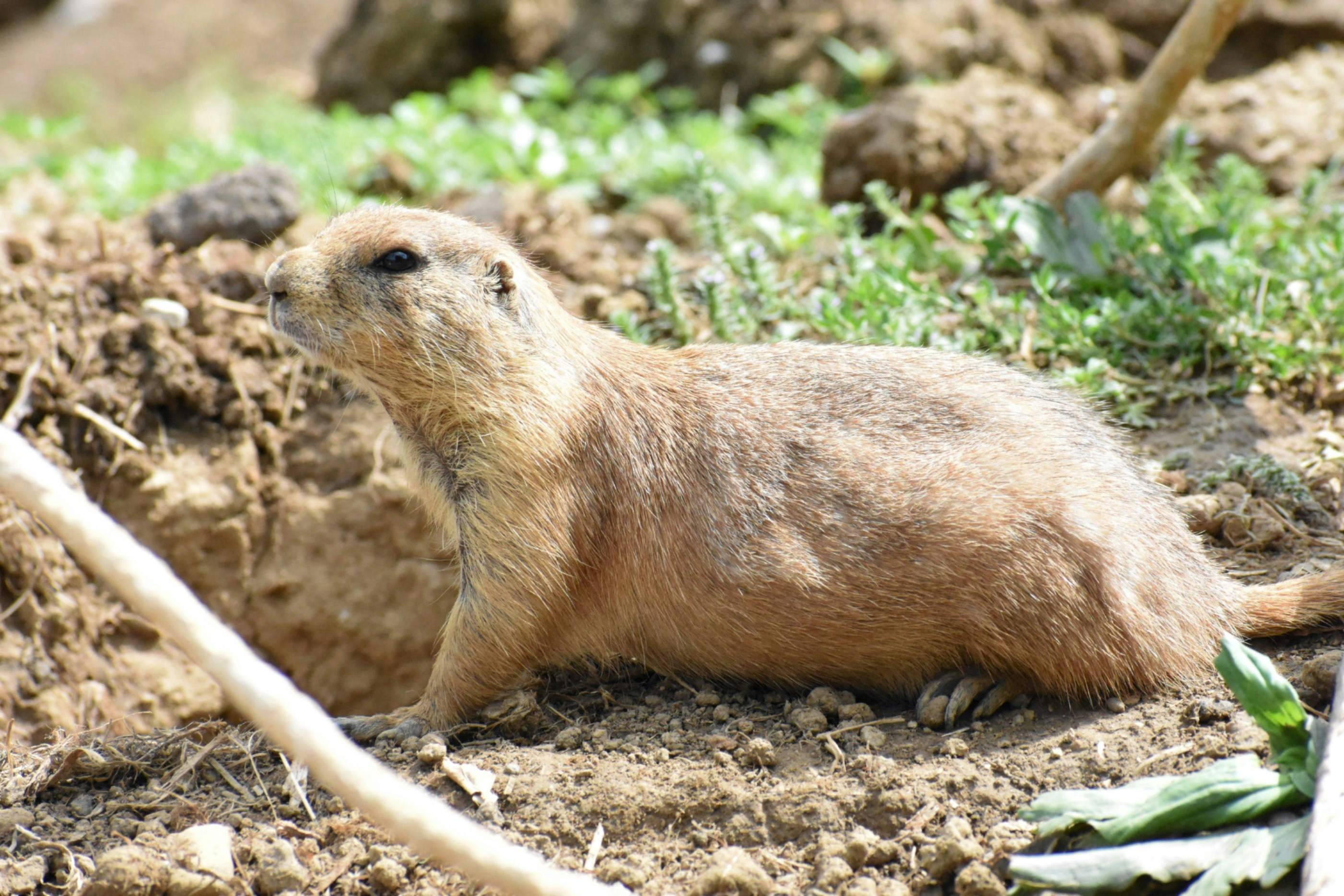 Photo by hdjohnson96